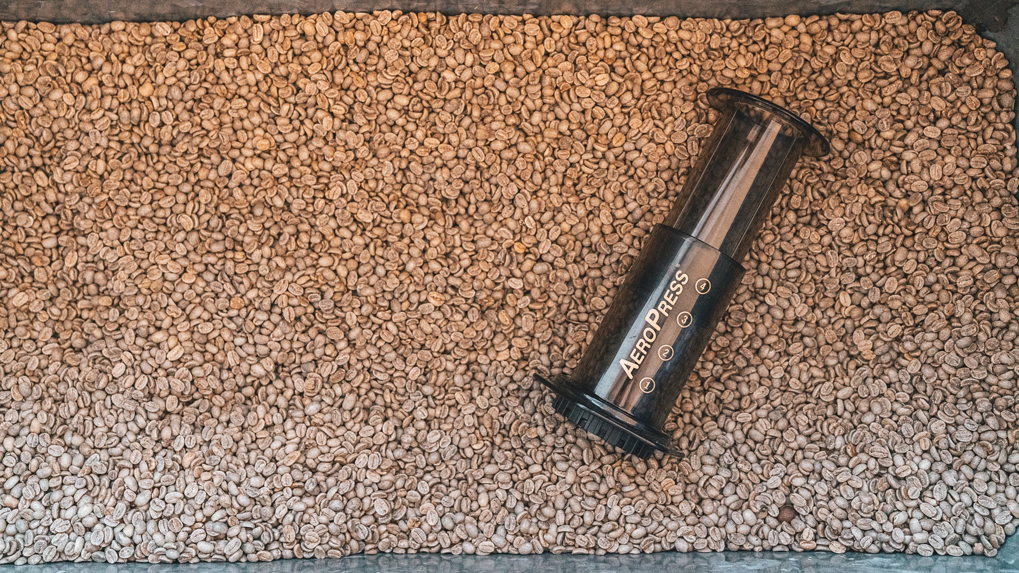 Brewing Equipment - Black River Roasters